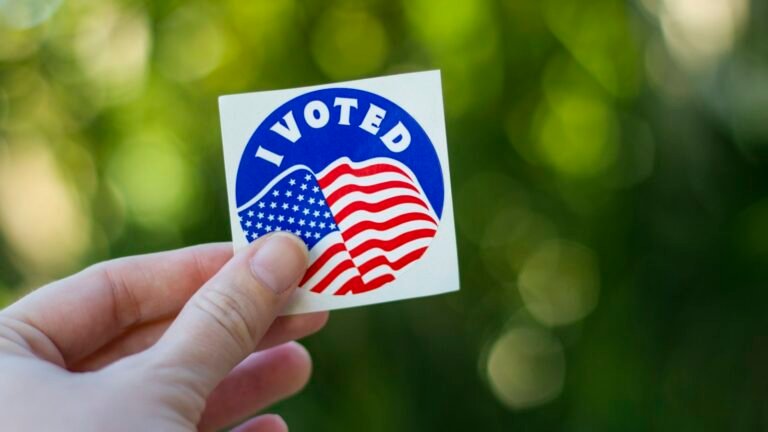 Nov. 3 Election Guide: Early Voting, ID and Polling Places